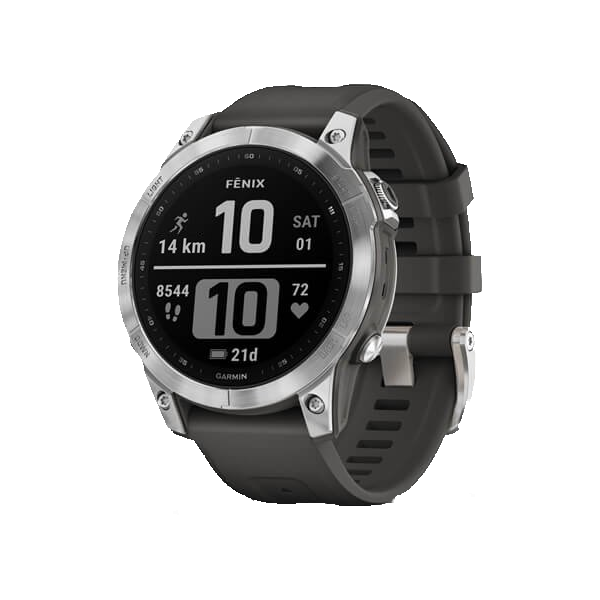 Спортивные часы Garmin Fenix 7 (серебристый)