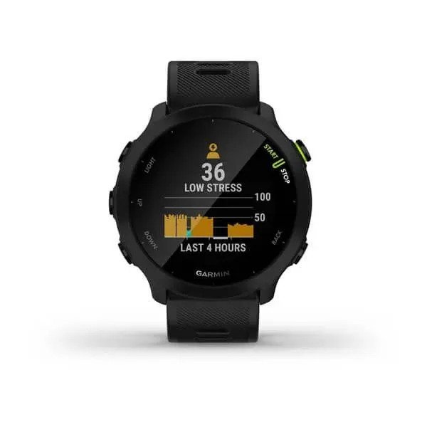 Спортивные часы Garmin Forerunner 55 (черный)