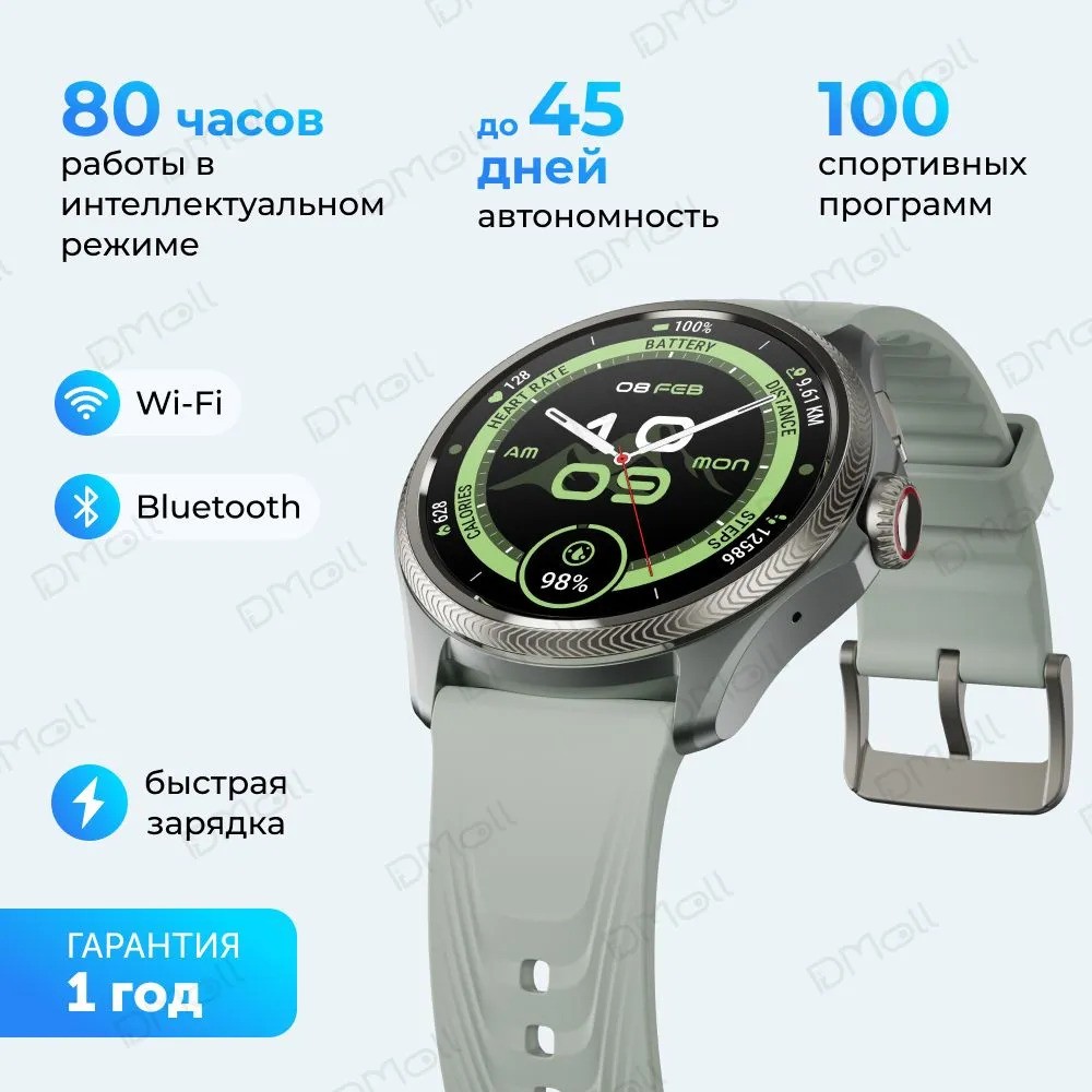 Умные часы Mobvoi TicWatch Pro 5 Enduro (серый)