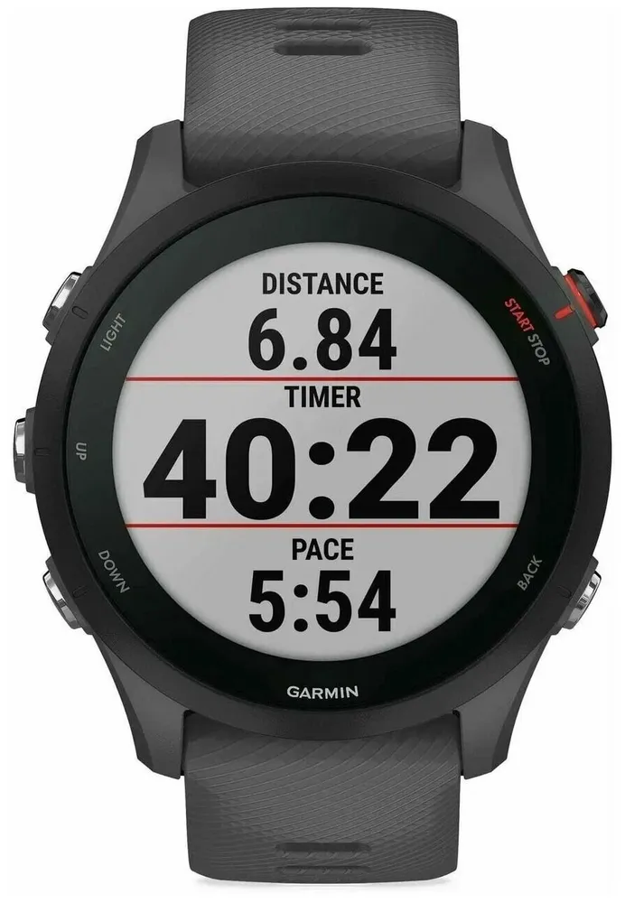 Спортивные часы Garmin Forerunner 255 (серый)