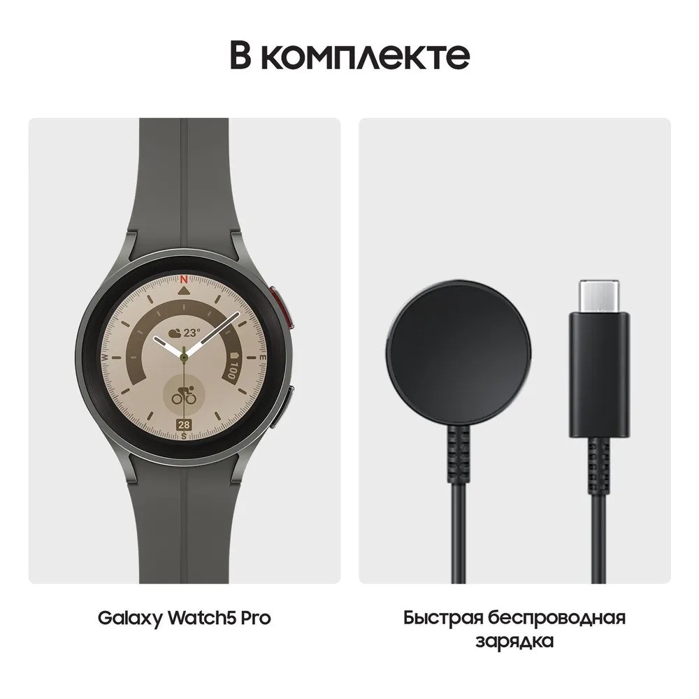 Умные часы Samsung Galaxy Watch5 Pro (серый)