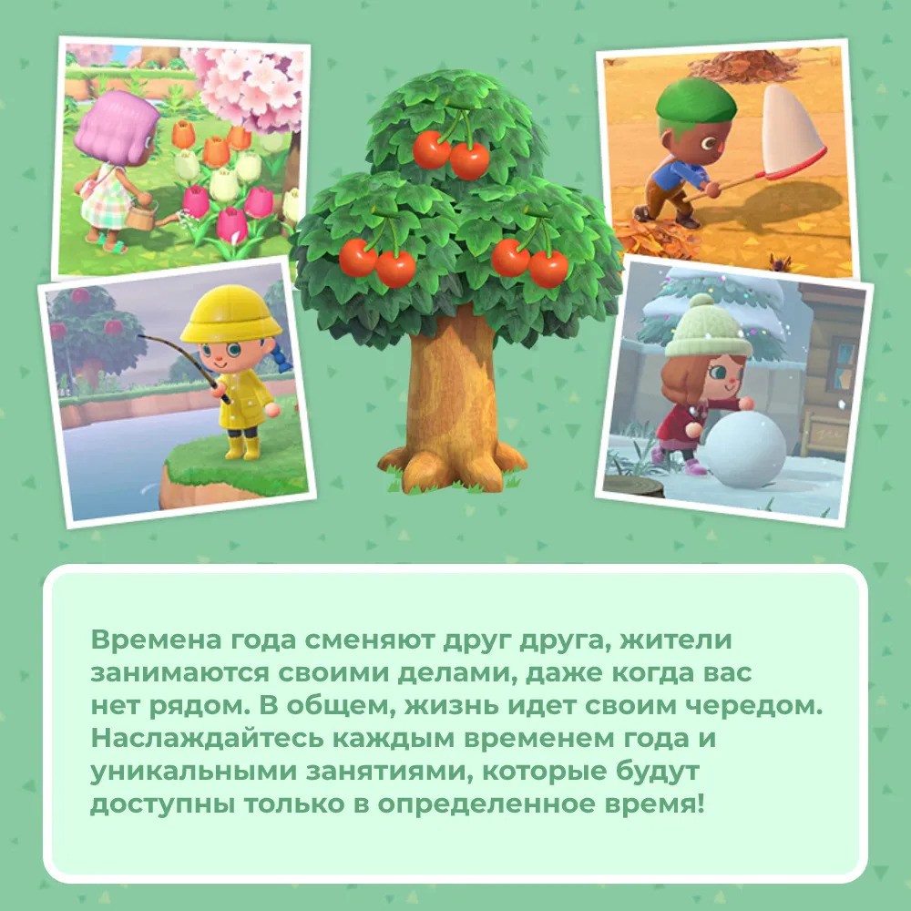 Игра Animal Crossing: New Horizons (Nintendo Switch)