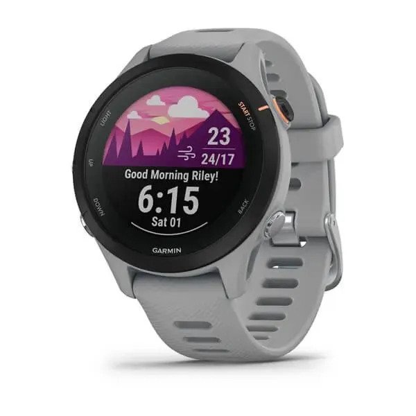 Спортивные часы Garmin Forerunner 255S (серый)