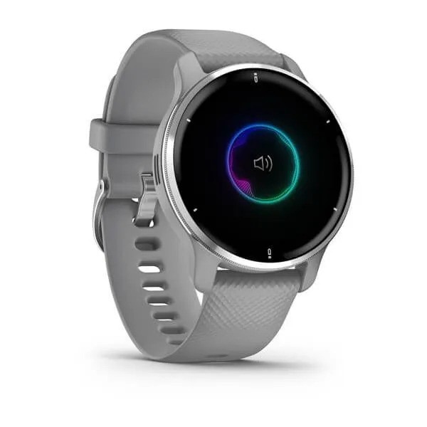 Умные часы Garmin Venu 2 Plus (серебристый)