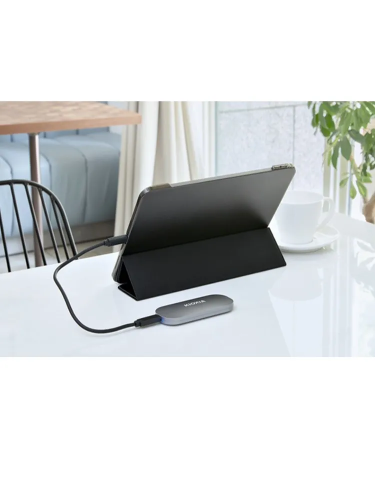 Внешний SSD накопитель KIOXIA Exceria Plus (1 ТБ, серый)