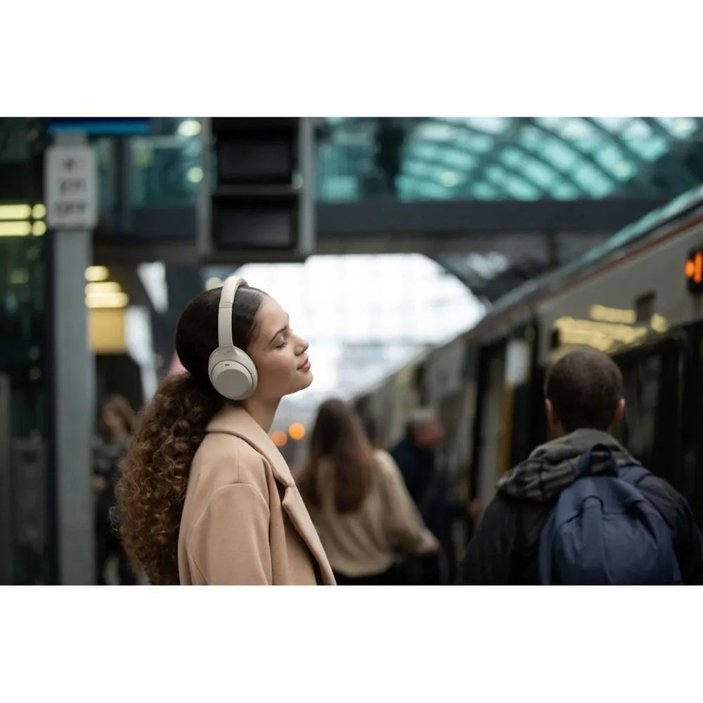 Беспроводные наушники SONY WH-1000XM4 (серебристый)