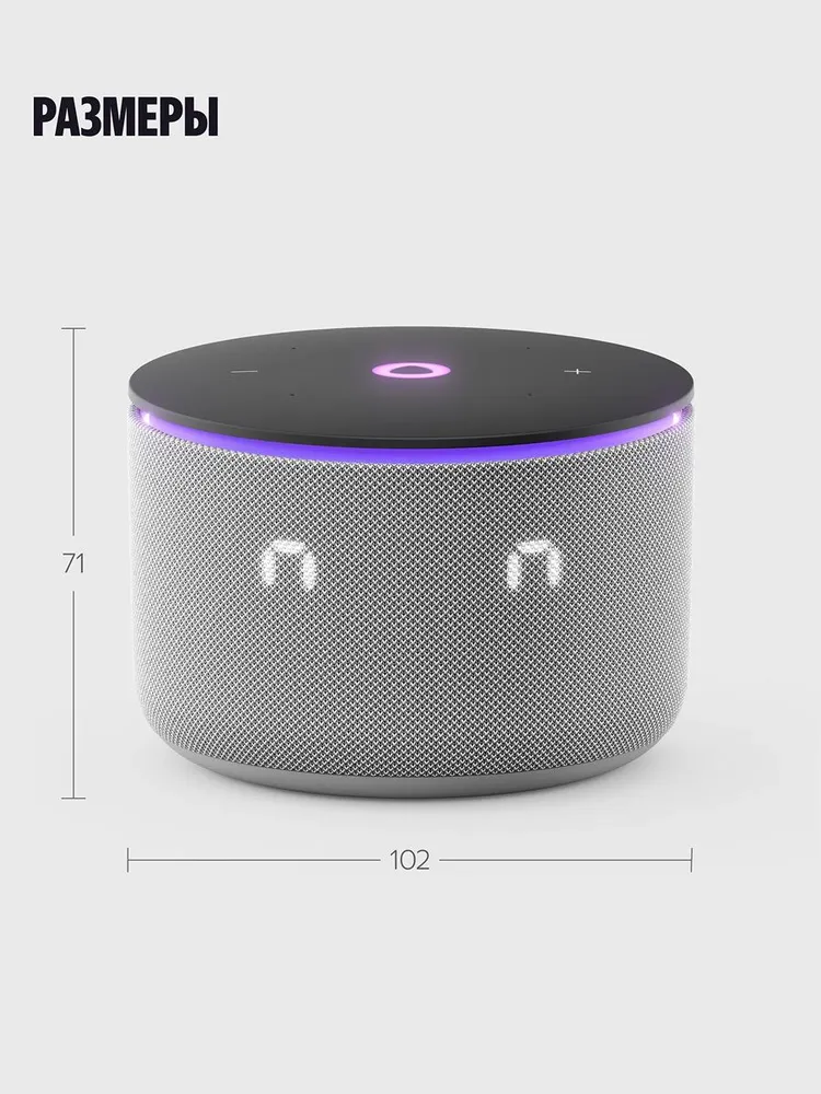 Умная колонка Яндекс Станция Мини 3 Про (серый)