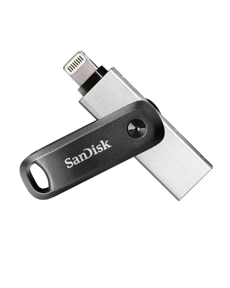Флеш-накопитель SanDisk iXpand Go (256 ГБ, серый)