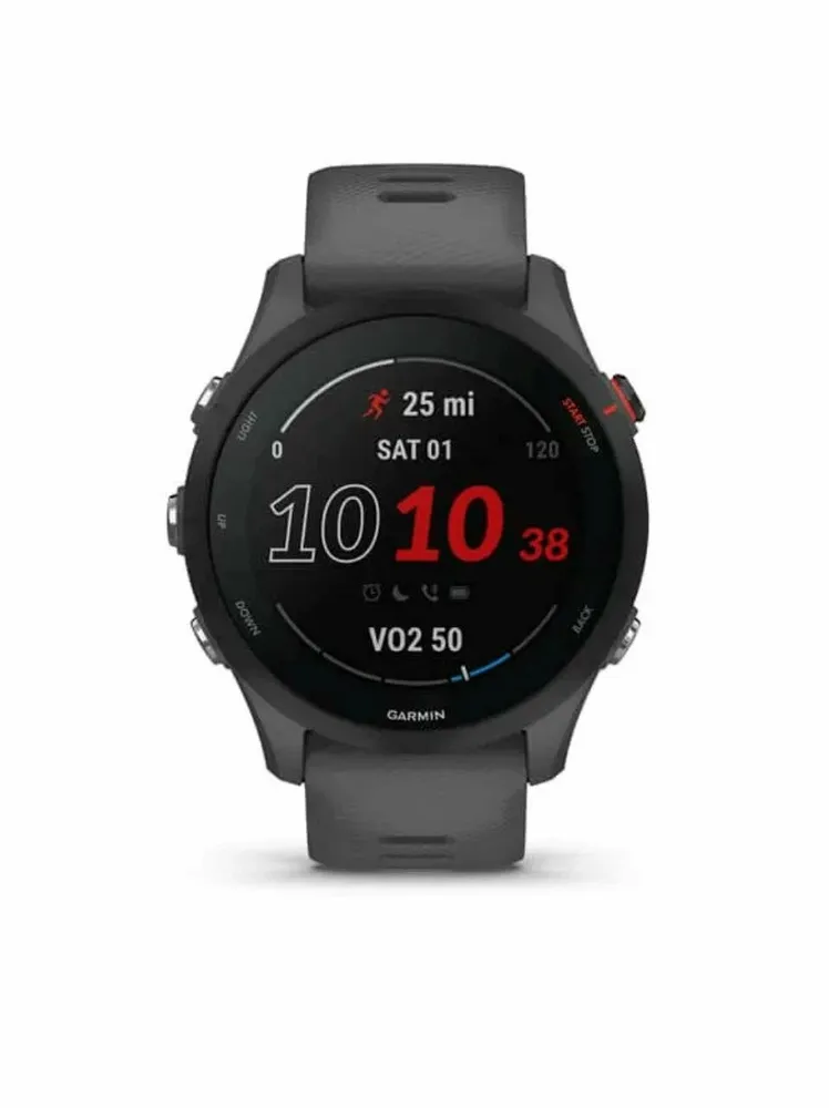 Спортивные часы Garmin Forerunner 255 (серый)