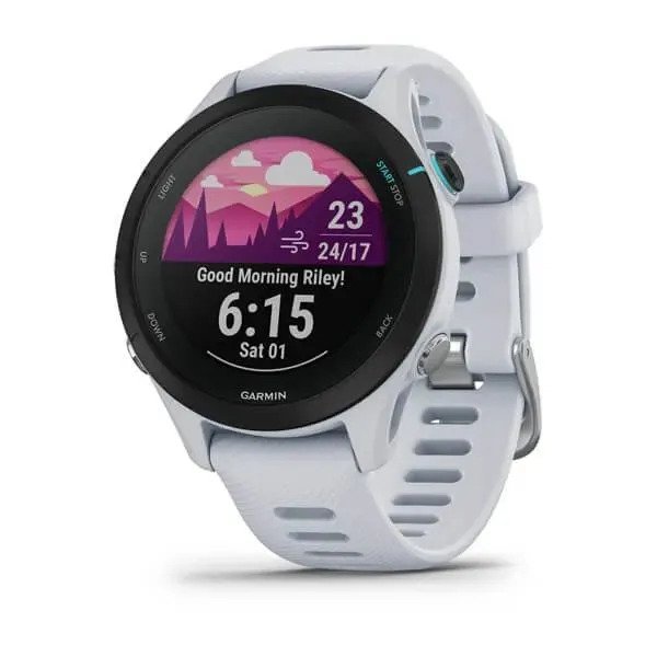 Спортивные часы Garmin Forerunner 255S (белый)