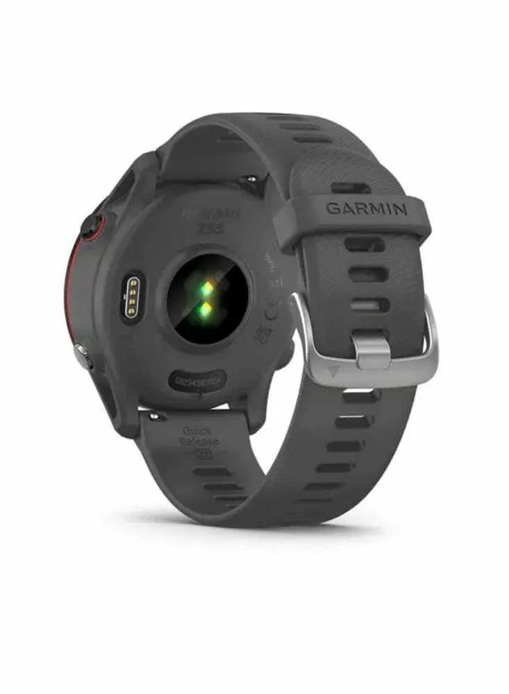Спортивные часы Garmin Forerunner 255 (серый)