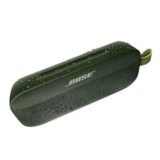 Портативная колонка Bose SoundLink Flex (зеленый)