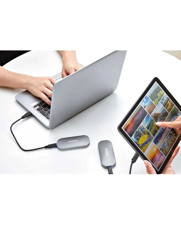 Внешний SSD накопитель KIOXIA Exceria Plus (1 ТБ, серый)