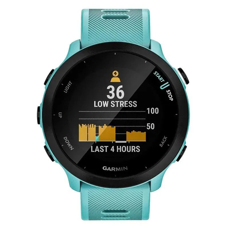 Спортивные часы Garmin Forerunner 55 (бирюзовый)