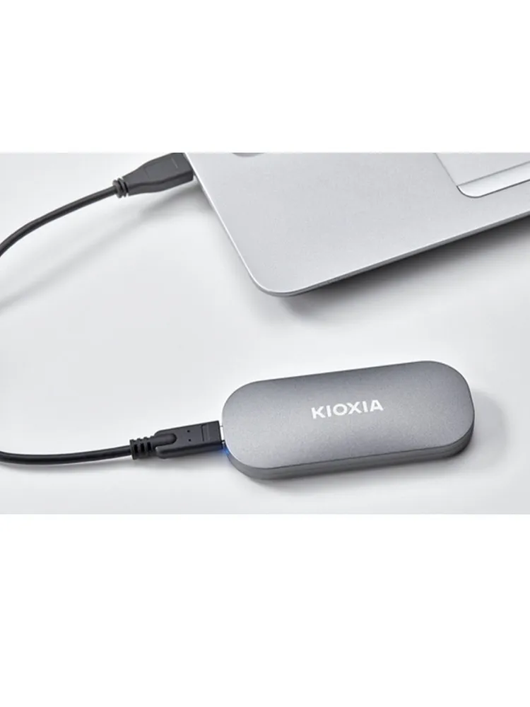 Внешний SSD накопитель KIOXIA Exceria Plus (1 ТБ, серый)