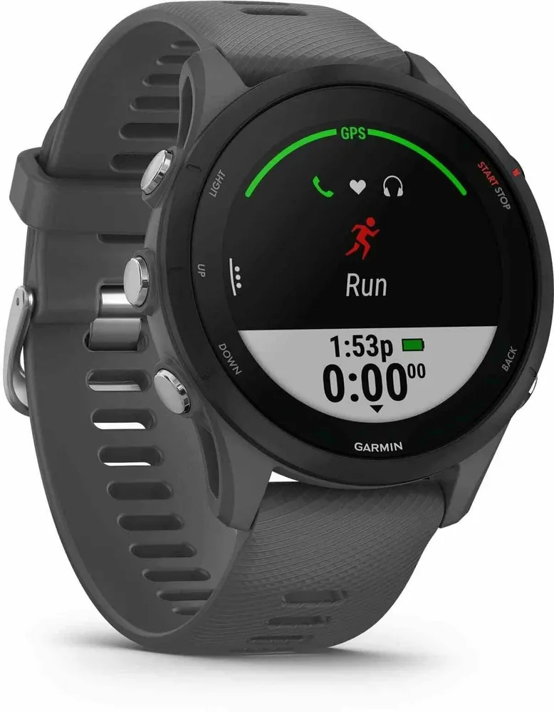 Спортивные часы Garmin Forerunner 255 (серый)