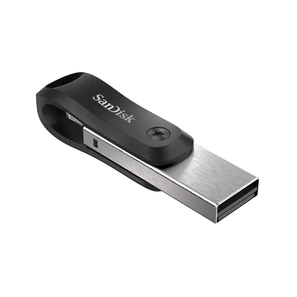 Флеш-накопитель SanDisk iXpand Go (256 ГБ, серый)