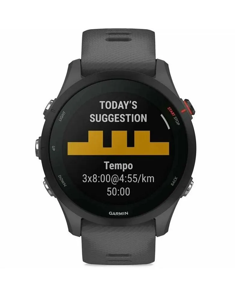 Спортивные часы Garmin Forerunner 255 (серый)