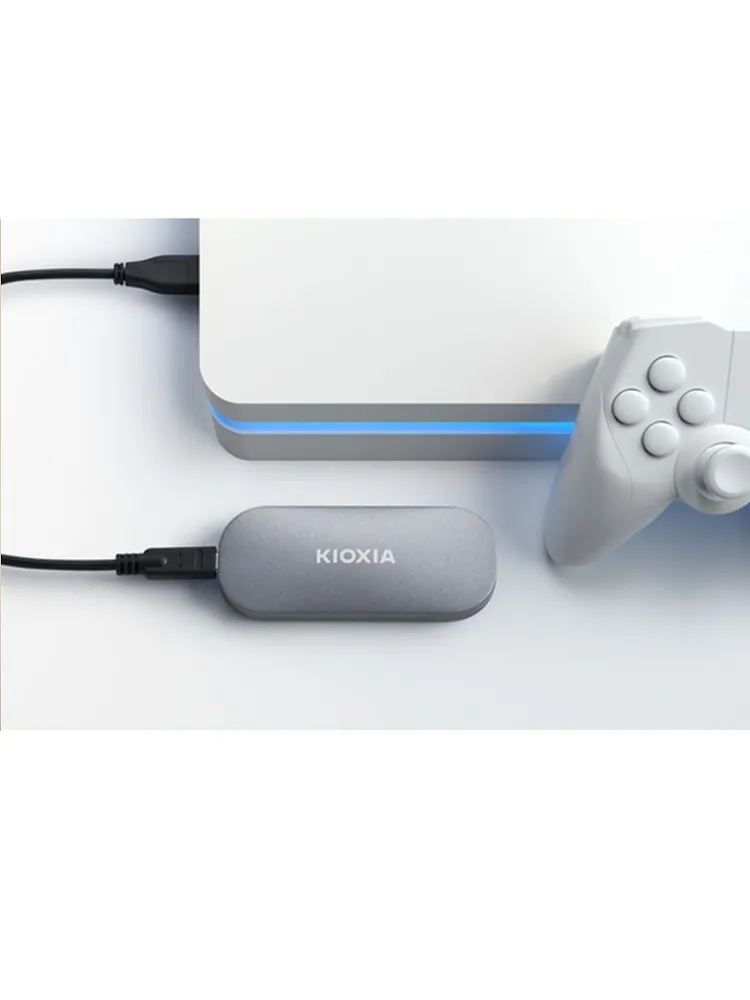 Внешний SSD накопитель KIOXIA Exceria Plus (1 ТБ, серый)