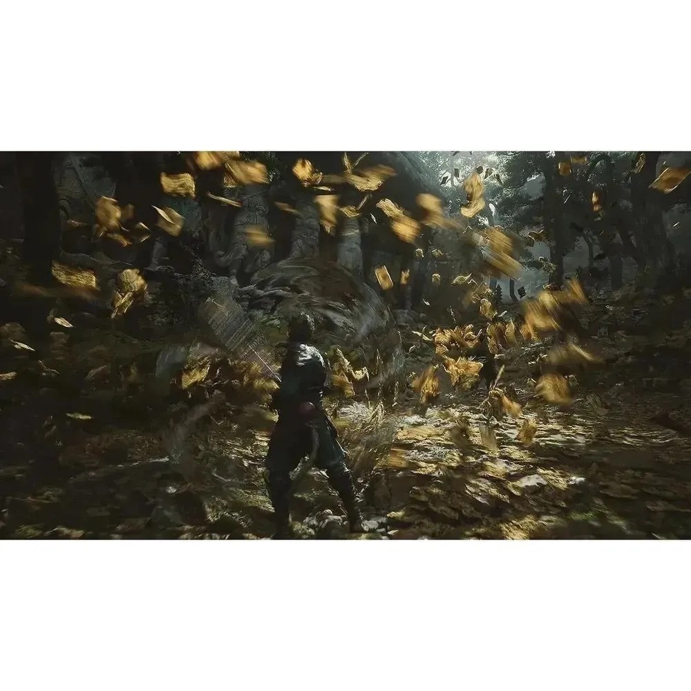 Игра Black Myth Wukong (Playstation 5, на диске)
