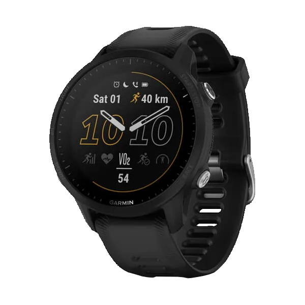 Спортивные часы Garmin Forerunner 955 (черный)