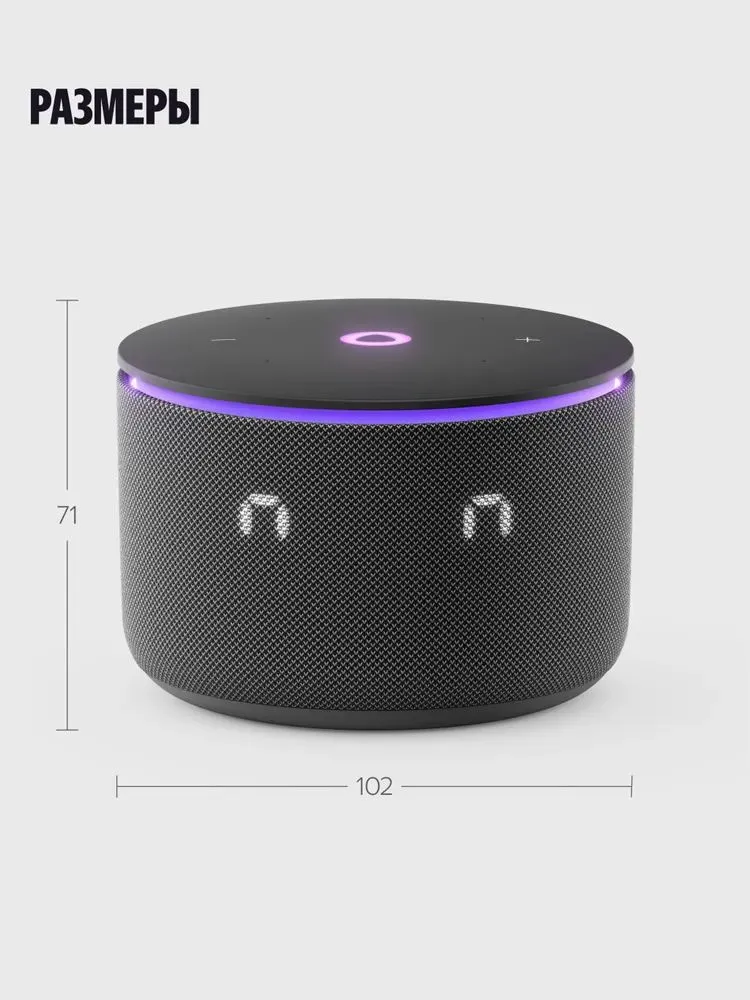 Умная колонка Яндекс Станция Мини 3 Про (черный)