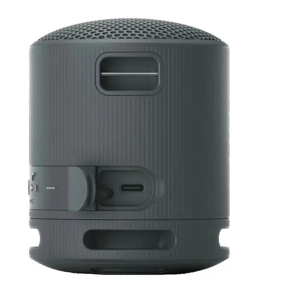Беспроводная колонка SONY SRS XB100 (черный)