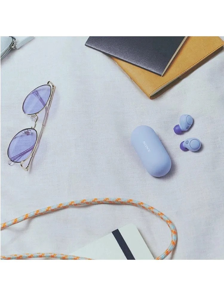 Беспроводные наушники SONY WF-C700N (лавандовый)