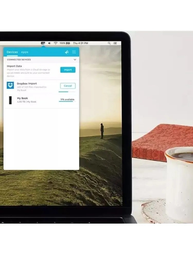 Внешний жесткий диск Western Digital My Book (6 ТБ, черный)
