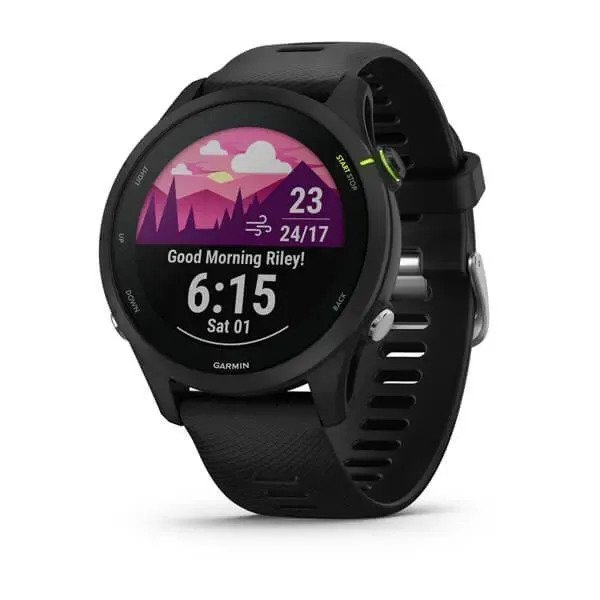 Спортивные часы Garmin Forerunner 255 Music (черный)