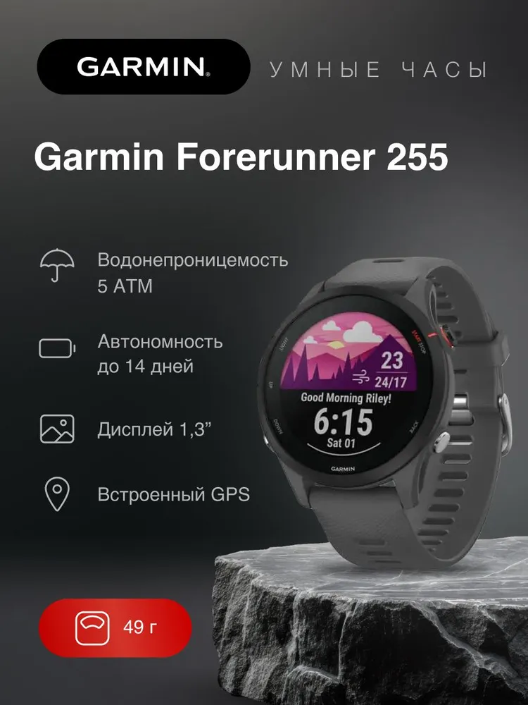 Спортивные часы Garmin Forerunner 255 (серый)