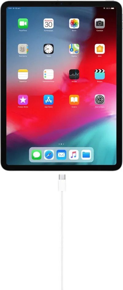 Зарядный кабель Apple USB-C (1м)