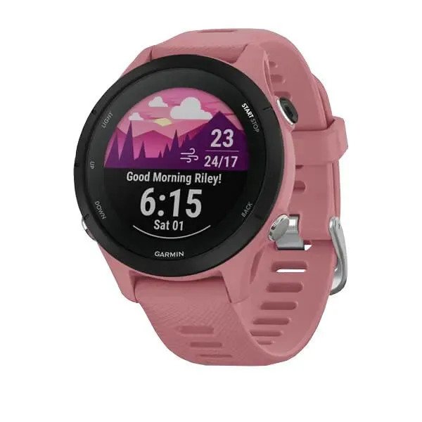 Спортивные часы Garmin Forerunner 255S (розовый)