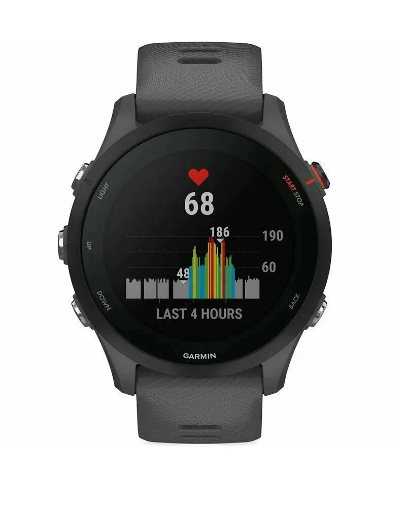 Спортивные часы Garmin Forerunner 255 (серый)