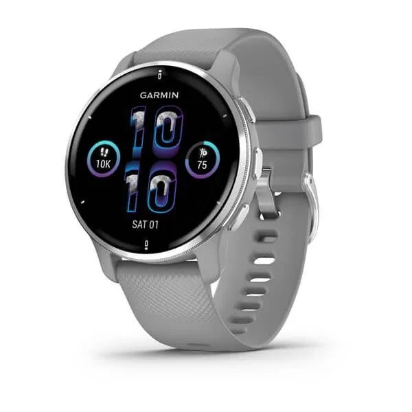 Умные часы Garmin Venu 2 Plus (серебристый)