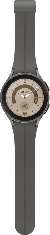 Умные часы Samsung Galaxy Watch5 Pro (серый)