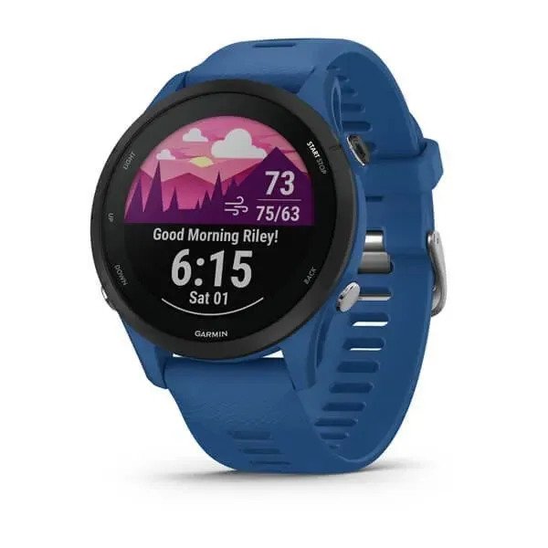 Спортивные часы Garmin Forerunner 255 (синий)
