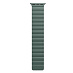Ремешок для часов SwitchEasy MAW245078PG22 Skin Silicone Magnetic Watch Band (для Apple Watch 42/44/45mm, зеленый)