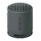 Беспроводная колонка SONY SRS XB100 (черный)