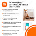 Автокормушка Xiaomi Smart Pet Food Feeder (белый)