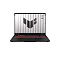 Игровой ноутбук ASUS TUF A16 FA608PP-RV062 (16'', серый)