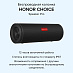 Беспроводная колонка HONOR CHOICE Speaker Pro (черный)