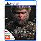 Игра Black Myth Wukong (Playstation 5, на диске)