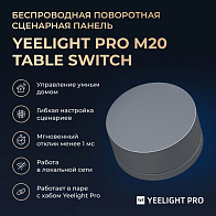 Поворотная панель Yeelight Pro M20 (беспроводная, 1 кнопка +  поворотная панель)