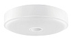 Светодиодный потолочный светильник Yeelight Crystal Sensor Ceiling Light Mini