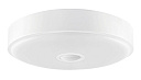 Светодиодный потолочный светильник Yeelight Crystal Sensor Ceiling Light Mini