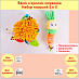 Развивающая игрушка ''Ёжик и кролик-морковка''