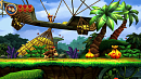 Игра Donkey Kong Country Returns (Nintendo Switch)