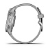 Умные часы Garmin Venu 2 Plus (серебристый)
