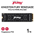 Внутренний SSD накопитель Kingston Fury Renegade (1000 ГБ, черный)